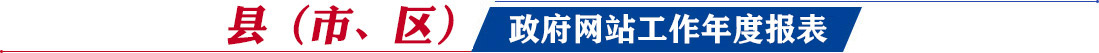 縣（市、區(qū)）網(wǎng)站工作年度報表